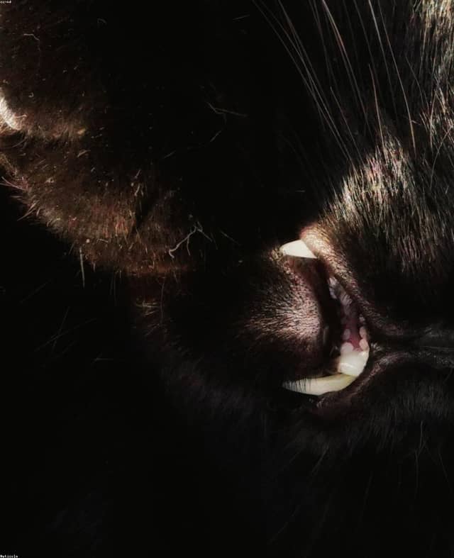 bWKBZuoG